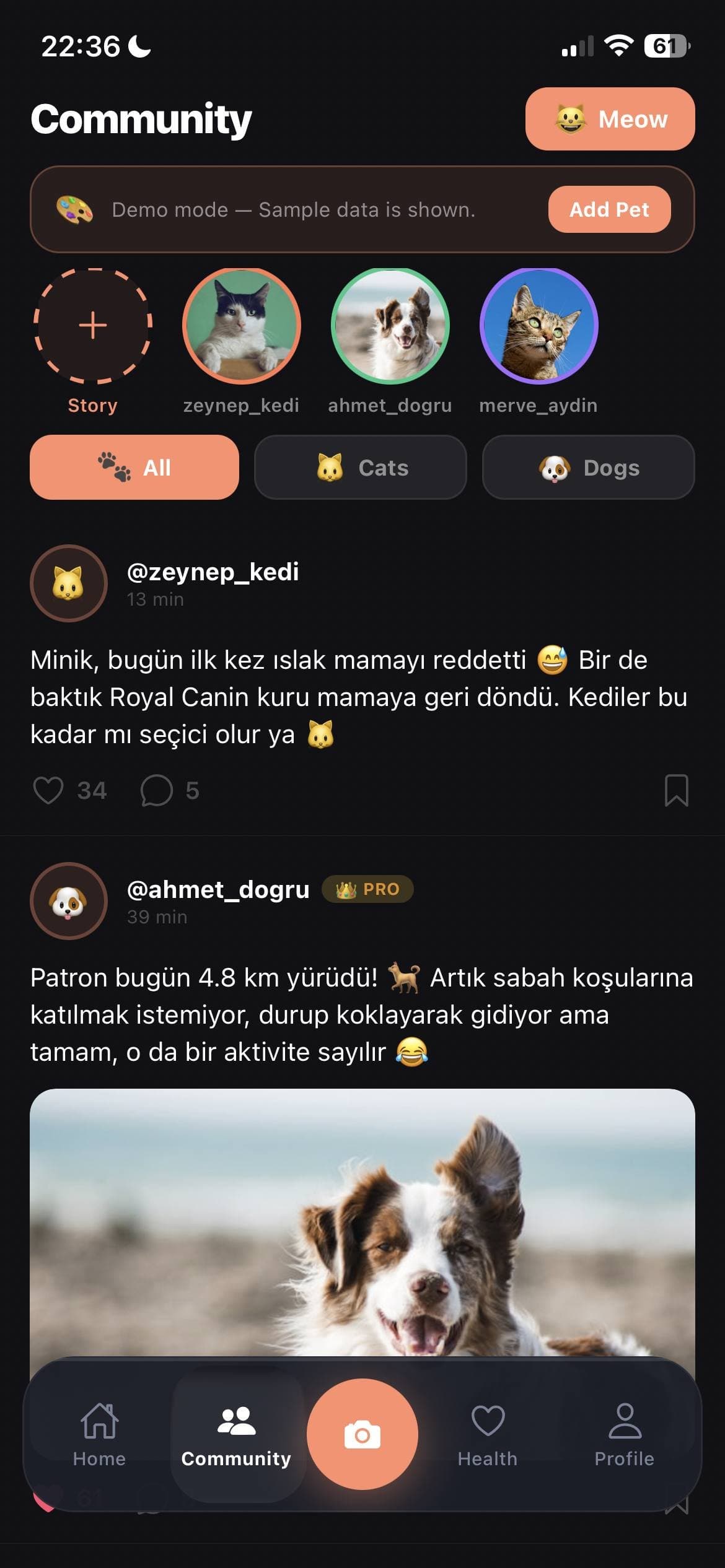 Topluluk
